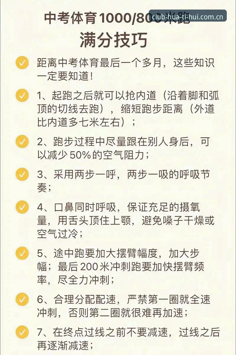 新手必看!使用华体会体育最新版本的7个关键步骤与实用技巧